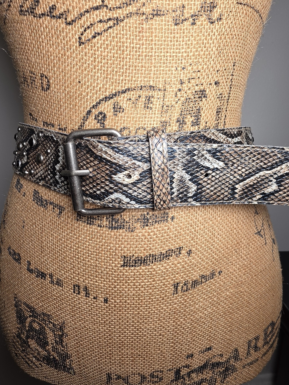 Snake-Print Leather Belt in Brown and Black with Stud Detail
